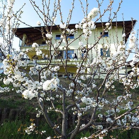 卡里佳丽斯住宿加早餐旅馆 多布罗沃 外观 照片
