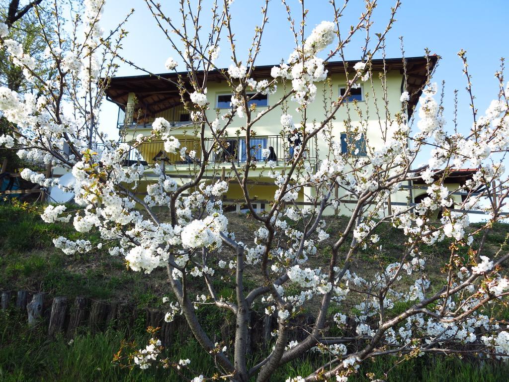 卡里佳丽斯住宿加早餐旅馆 多布罗沃 外观 照片